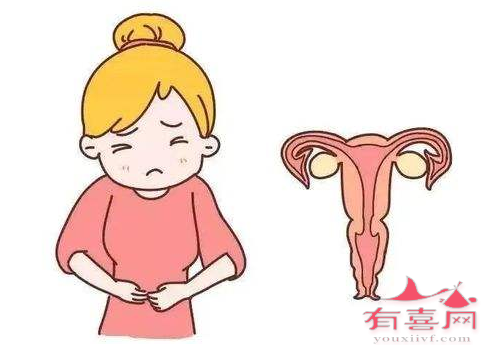 青岛供卵中介服务：什么原因导致多囊卵巢囊肿？
